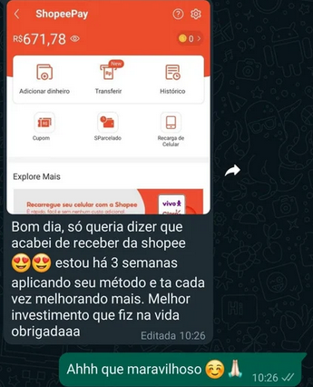 Captura-de-tela-2024-08-17-132828.png